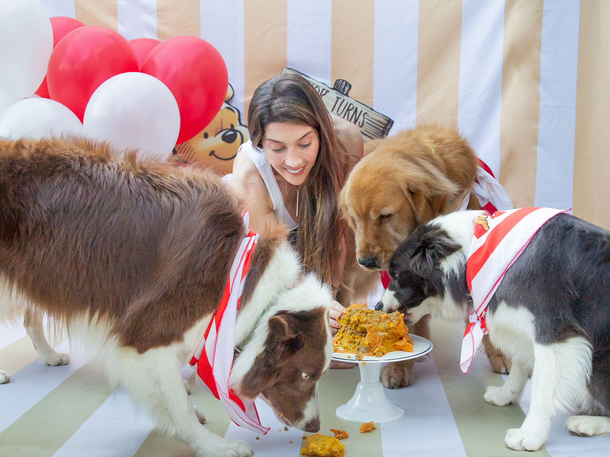 aniversario-pet-vitoria-ursinho-pooh-vitoria-2026 