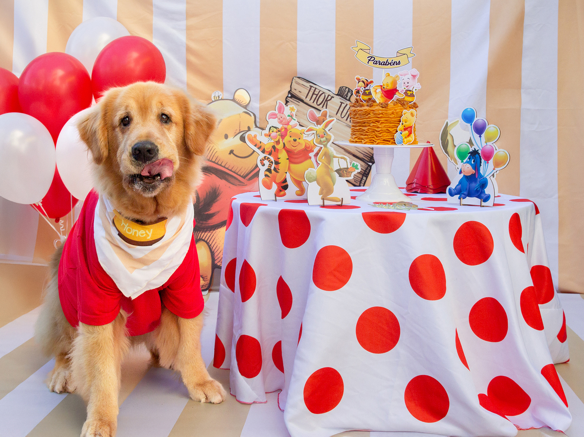 aniversario-pet-vitoria-ursinho-pooh-vitoria-2026 