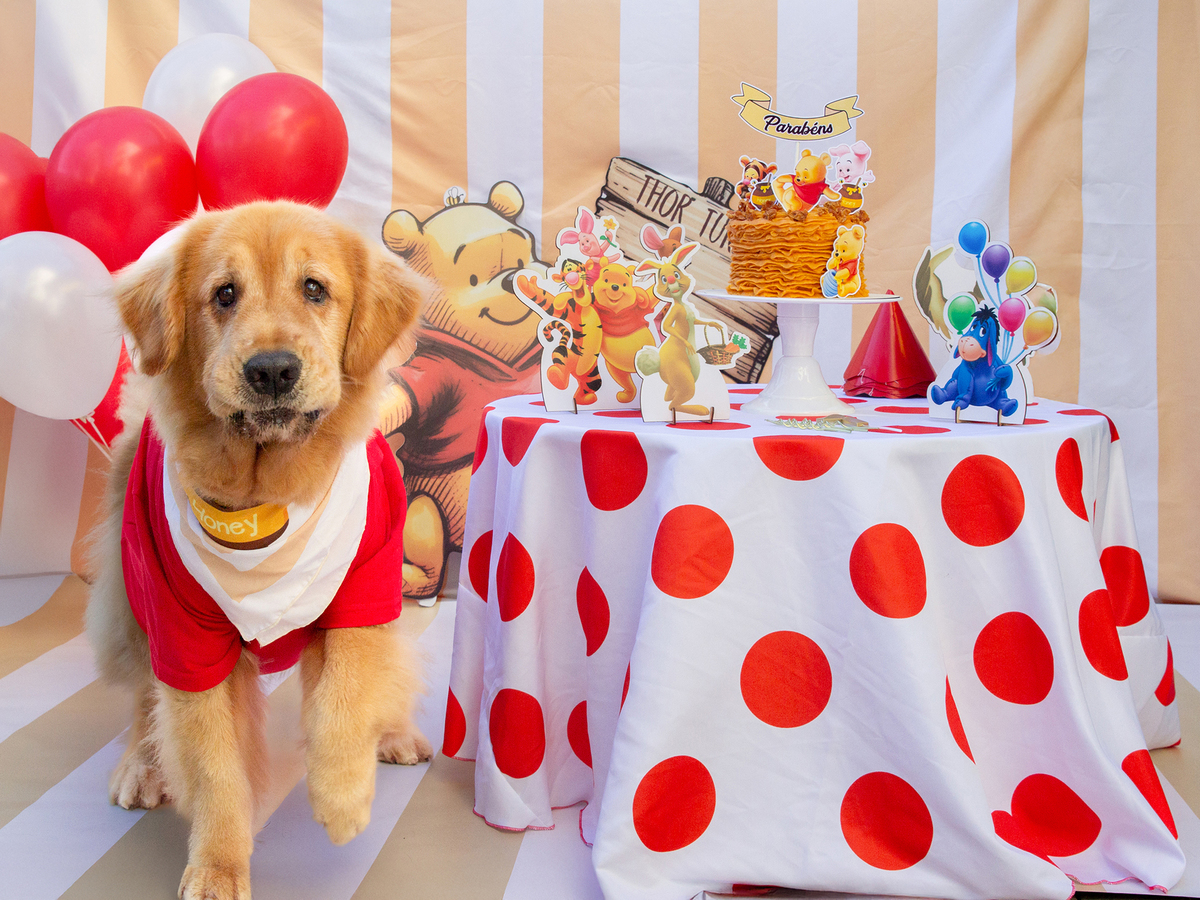 aniversario-pet-vitoria-ursinho-pooh-vitoria-2026 