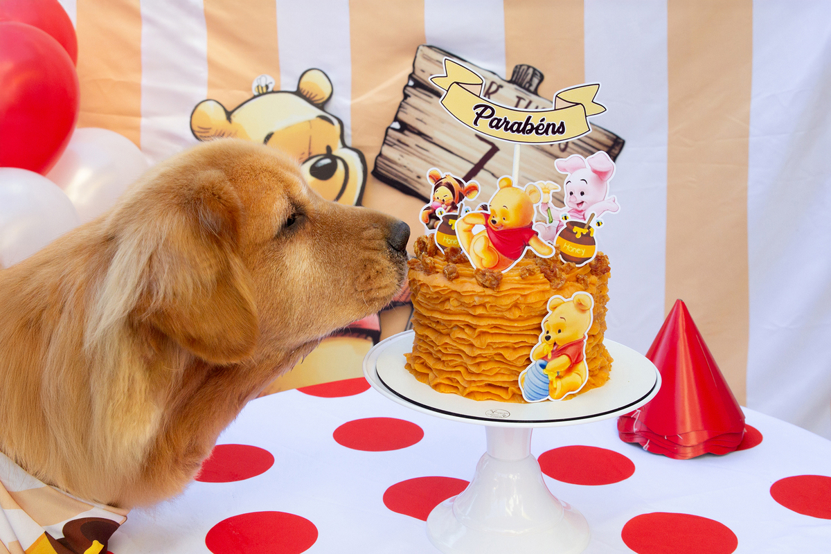 aniversario-pet-vitoria-ursinho-pooh-vitoria-2026 