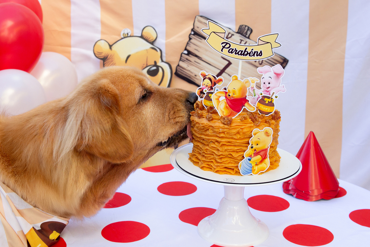 aniversario-pet-vitoria-ursinho-pooh-vitoria-2026 