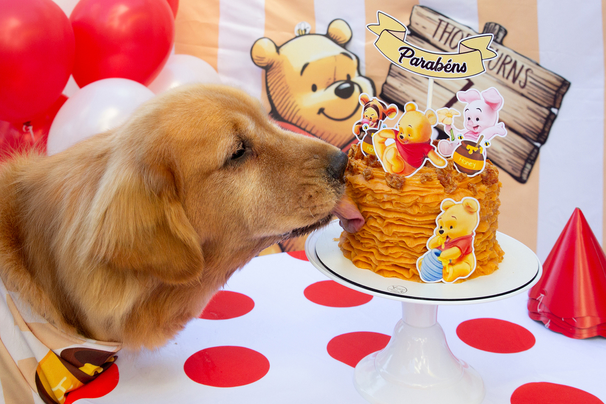 aniversario-pet-vitoria-ursinho-pooh-vitoria-2026 