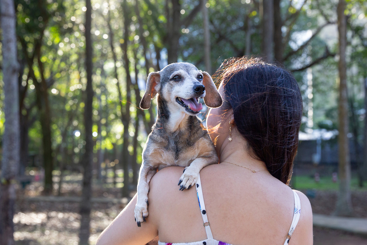 Bia e Junia, durante o ensaio pet num fim de tarde de sol 