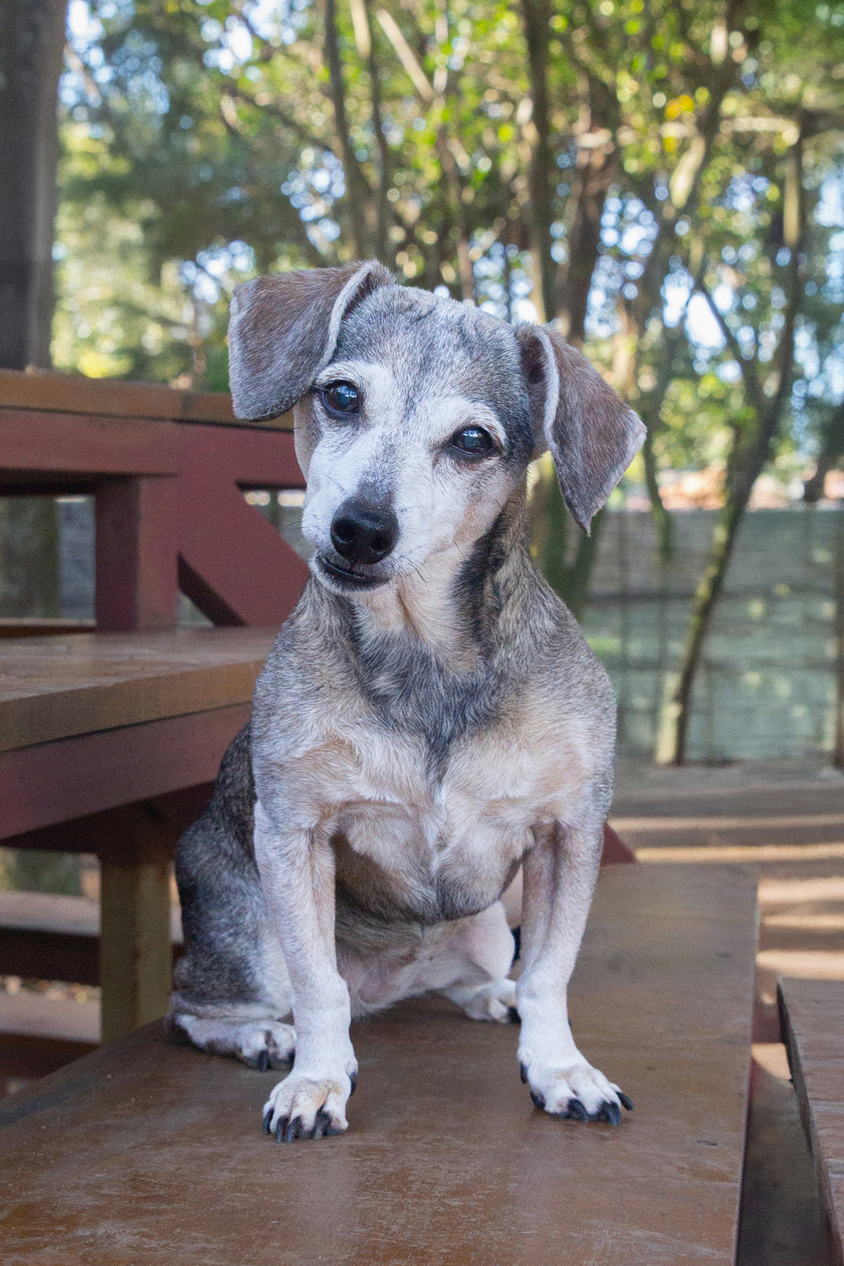 Junia posando para foto no parque 
