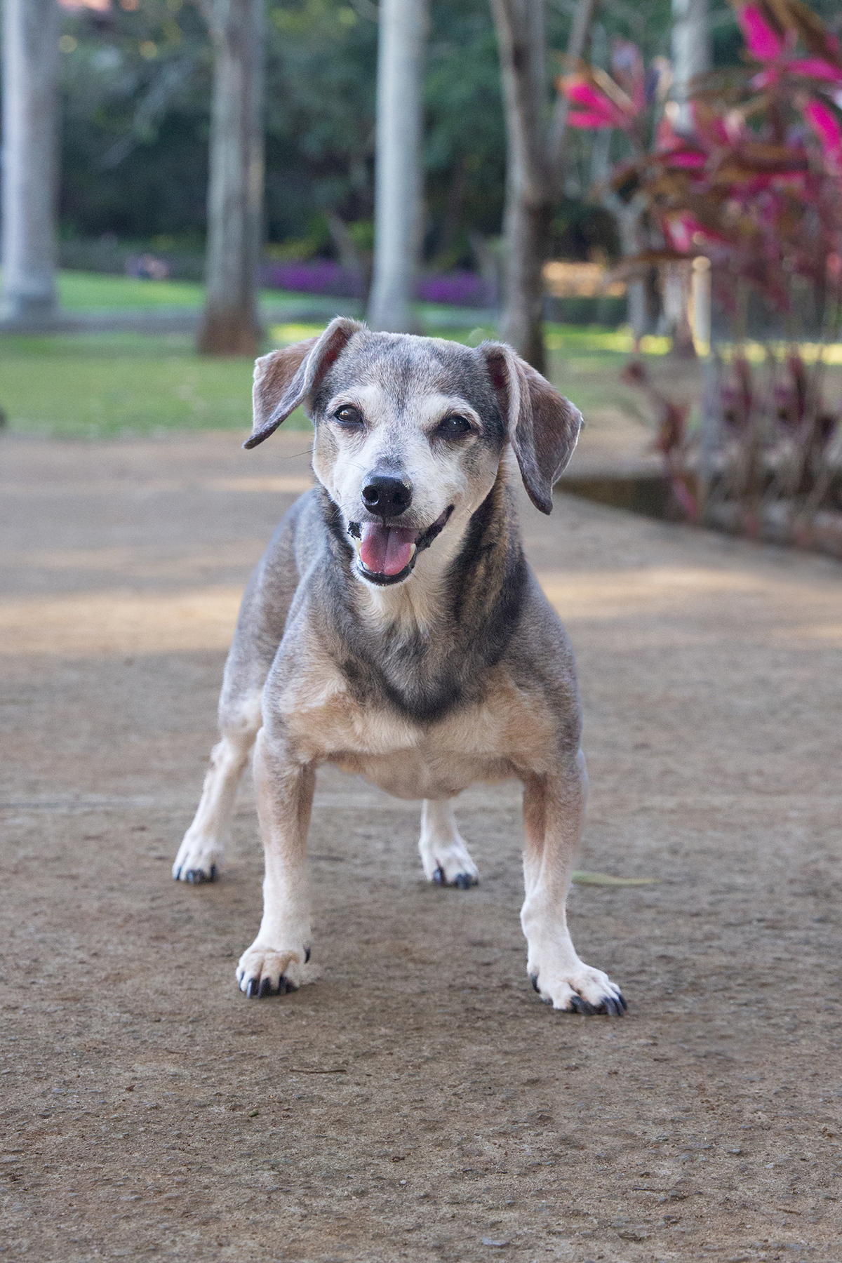 Junia posando para foto no parque 