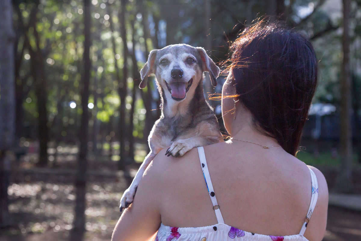 Bia e Junia, durante o ensaio pet num fim de tarde de sol 