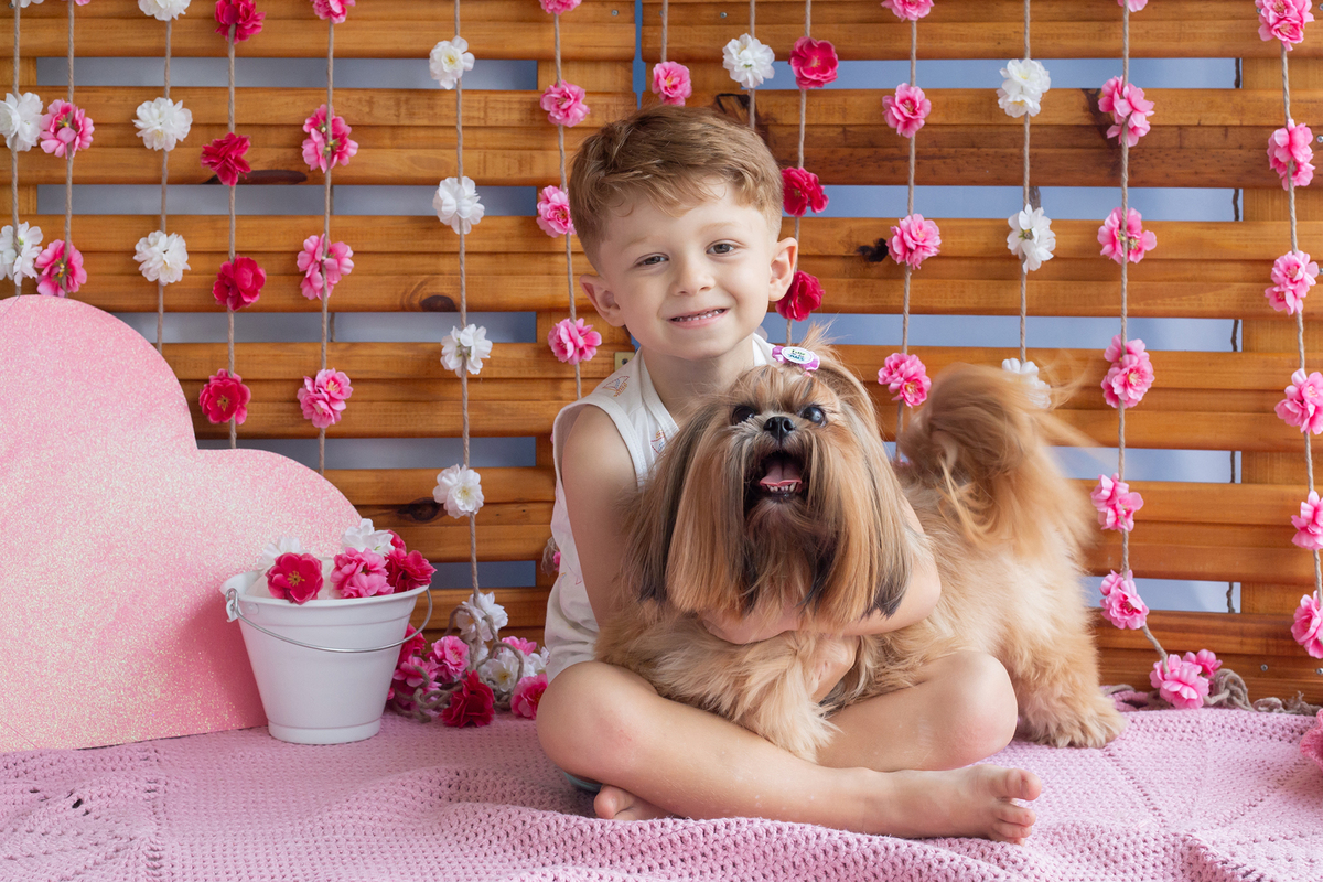 Shih-tzu interagindo no cenário, junto com seu irmão humana