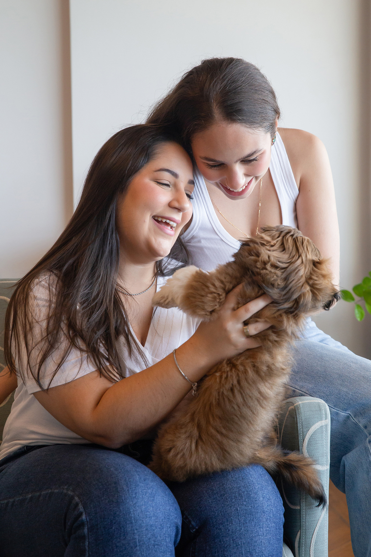 Momento espontâneo durante o ensaio lifestyle em casa, com as irmãs de pet.  Registrando a chegada do pequeno Barto e a conexão da família com seu novo integrante.