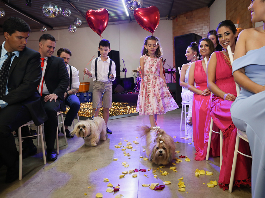 Entrada das alianças. Crianças entrando com os dois cães dois noivos, que trazem as alianças