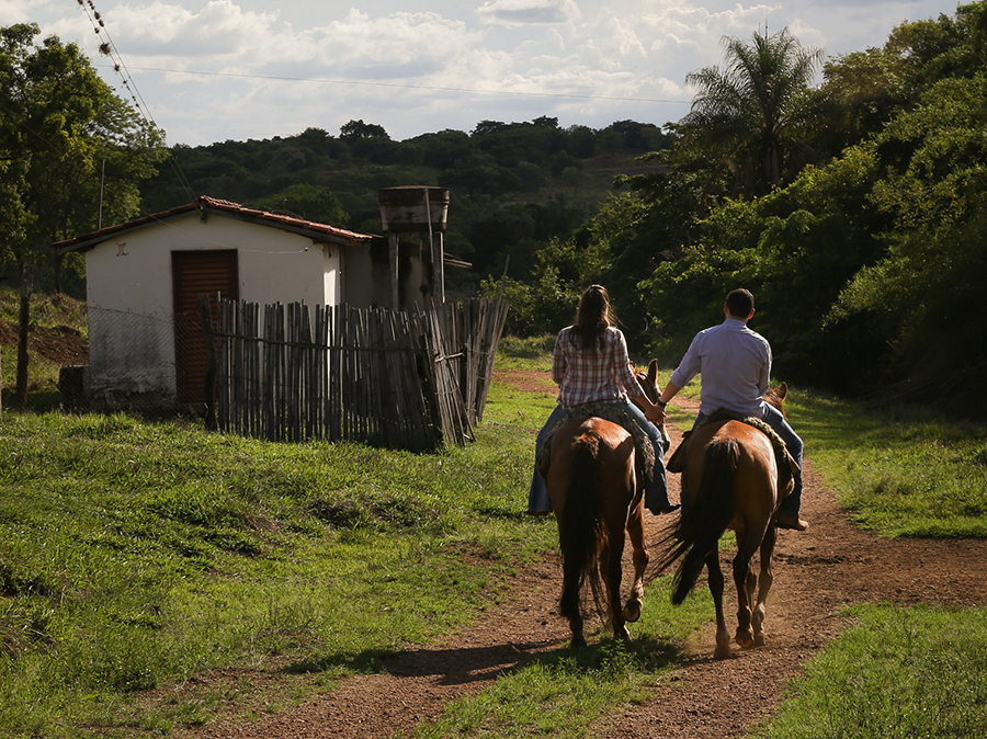 noivos andam a cavalo pela fazenda, de mãos dadas. cena mostrada de costas