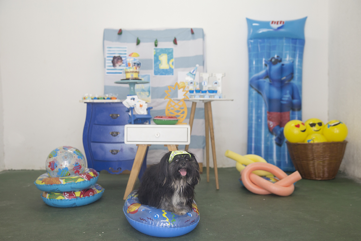 Cão Heros posa dentro do barco de boia, na decoração poolparty