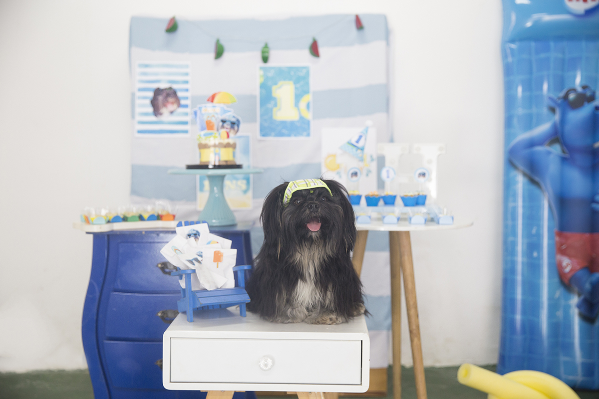 Cão Heros, posa na mesa decorada