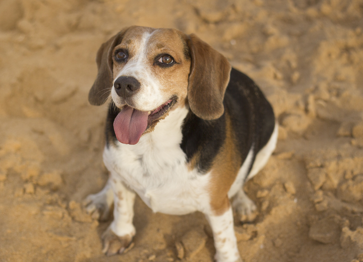 Billy olha para cima para foto