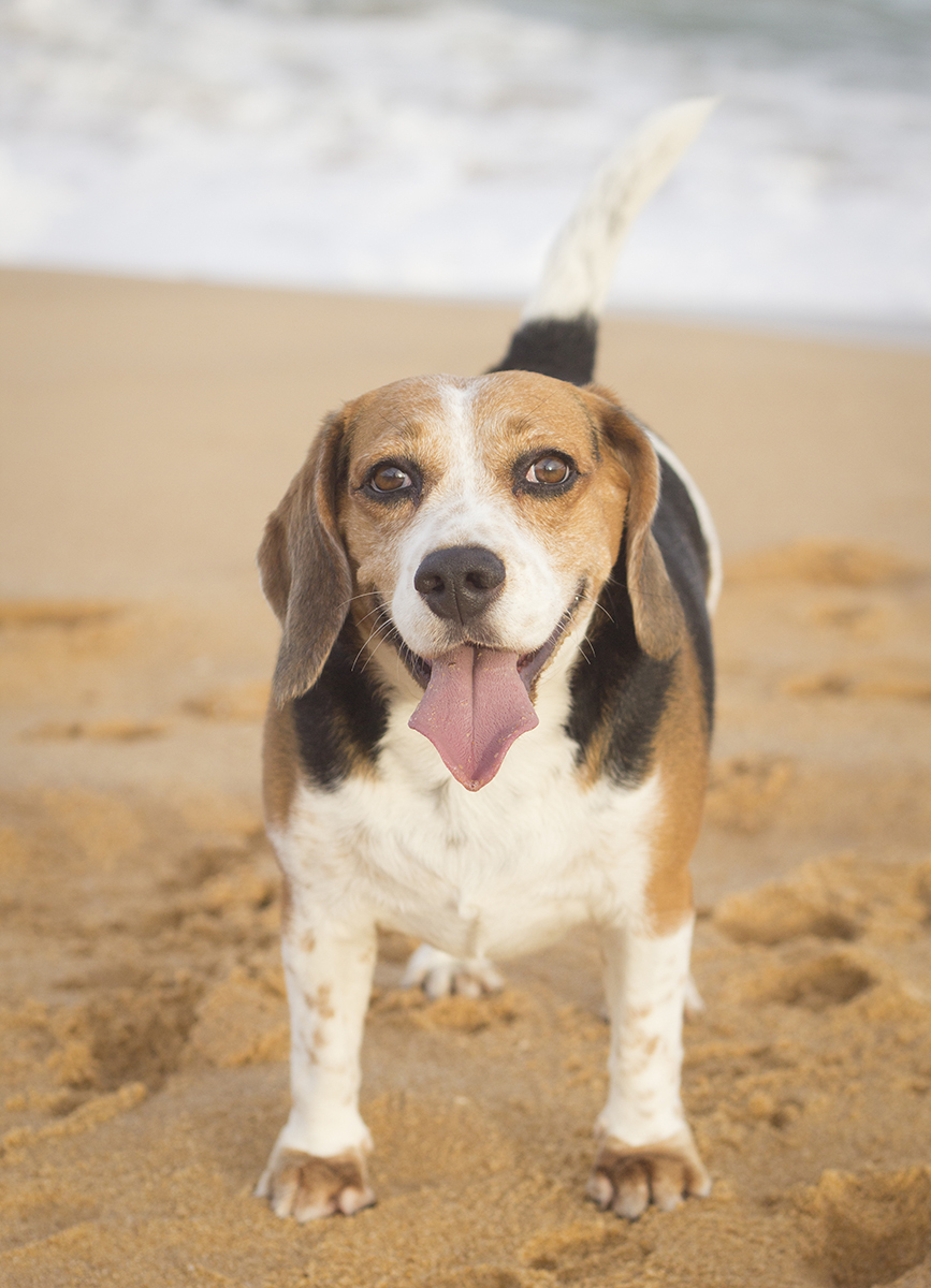 Close do Billy, na praia