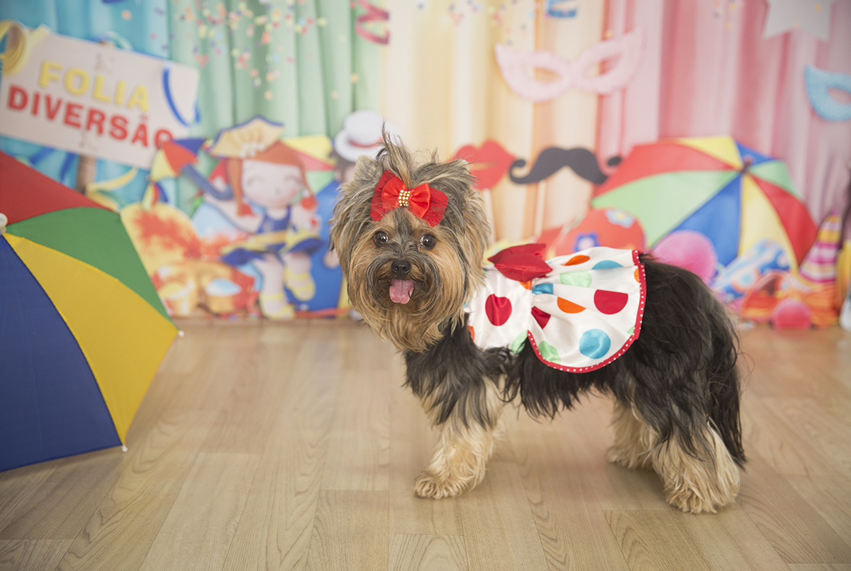 A Yorkshire Andy posando para fotos no cenário de carnaval