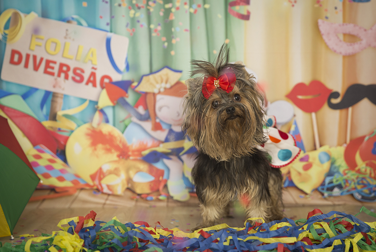 A Yorkshire Andy posando para fotos no cenário de carnaval