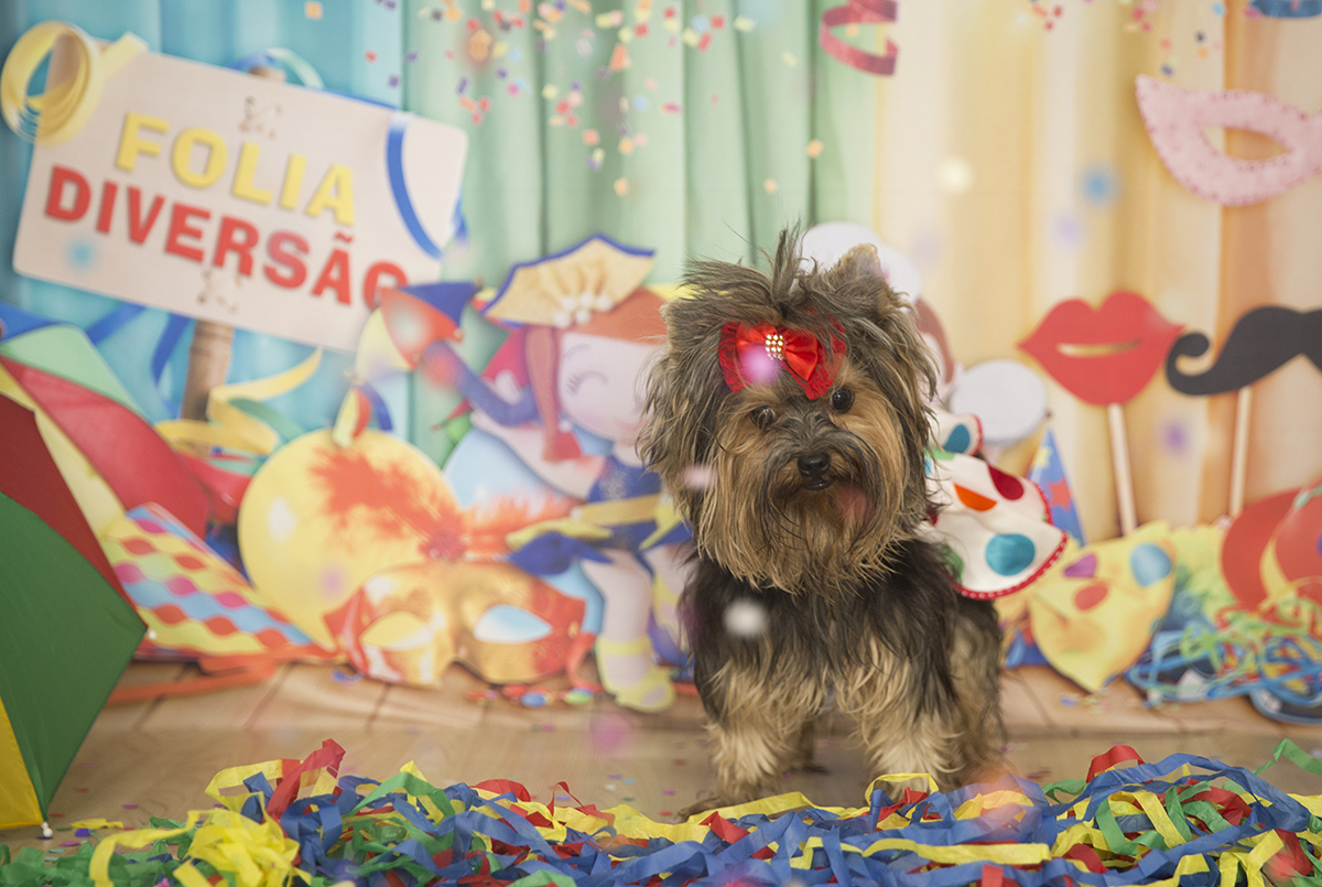 A Yorkshire Andy posando para fotos no cenário de carnaval