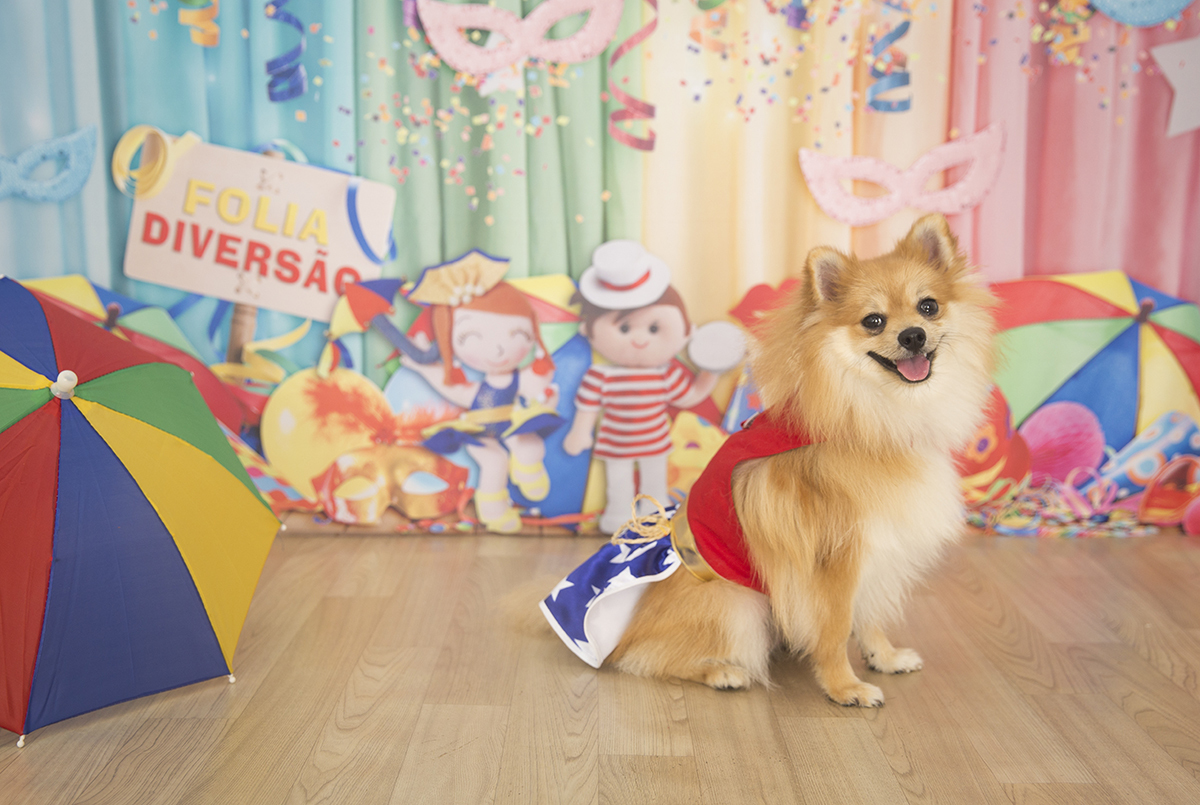 A Spitz Cacau posando para fotos no cenário de carnaval