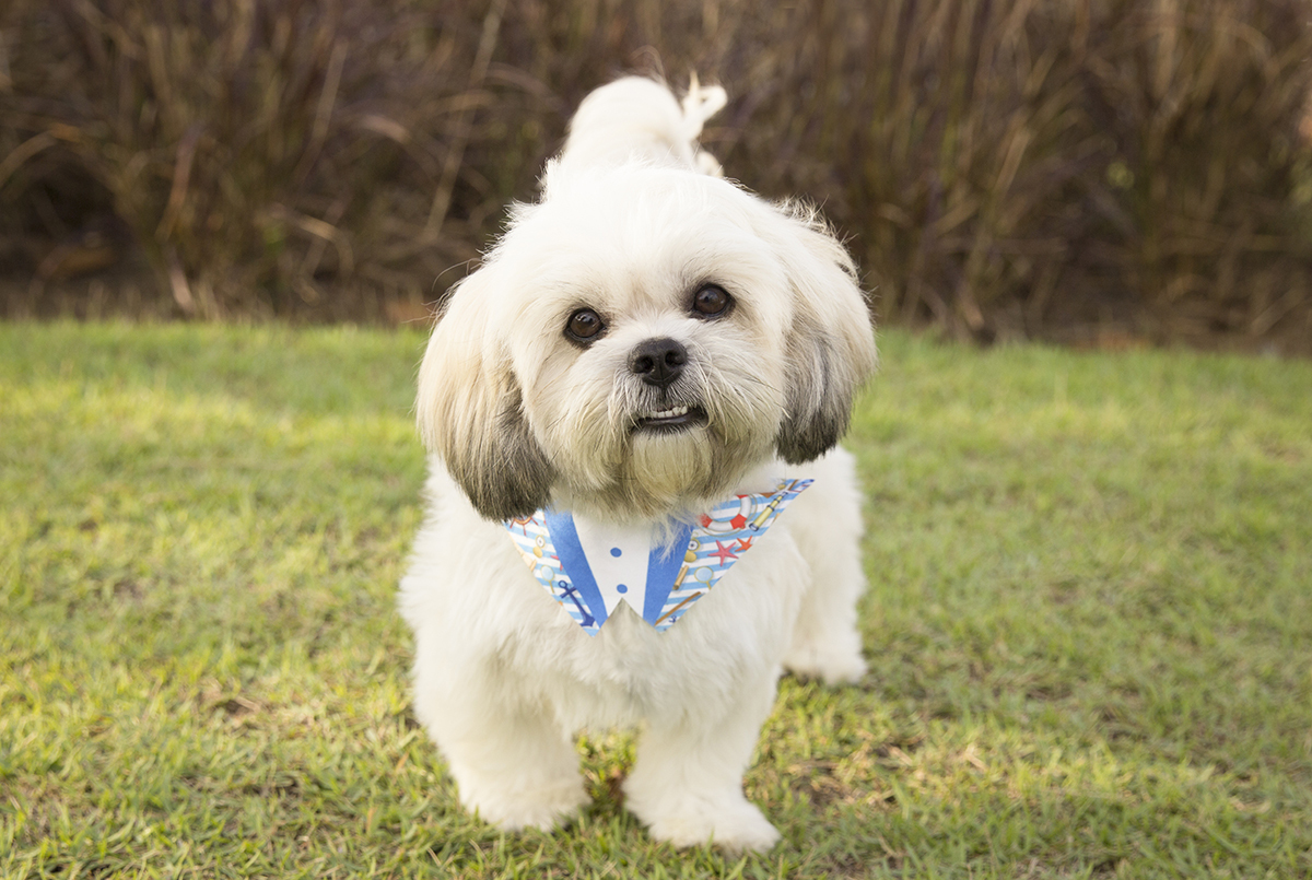 Alfredo, olha com curiosidade para câmera