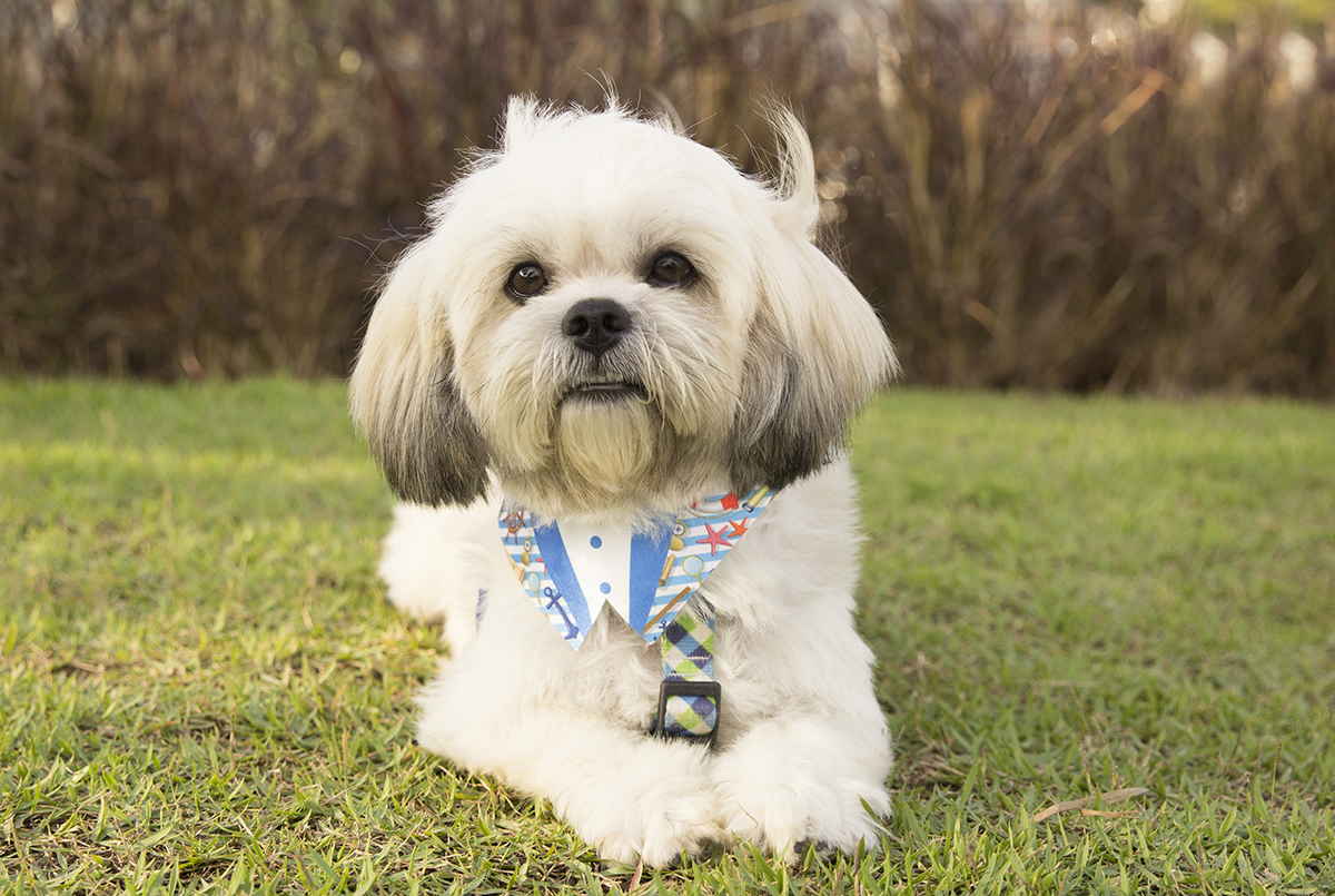 Alfredo posa de frente para câmera