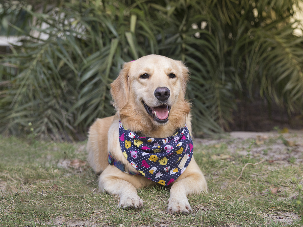 Maya posa deitada para foto