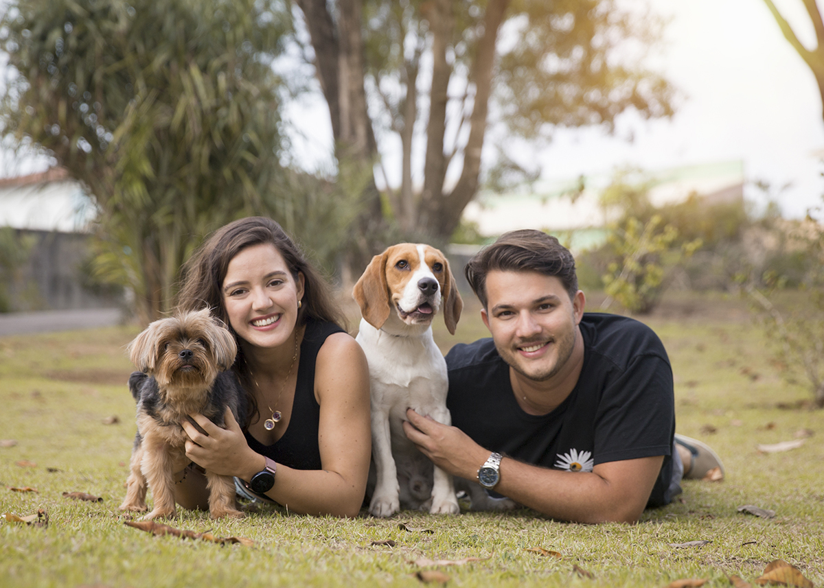 mamãe e papai humanos posam com pet beagle e pet york deitados na grama