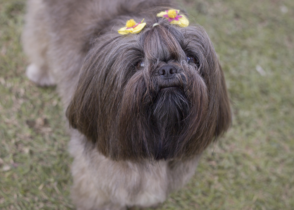 Close da Amora, olhando de baixo para cima, em direção a câmera