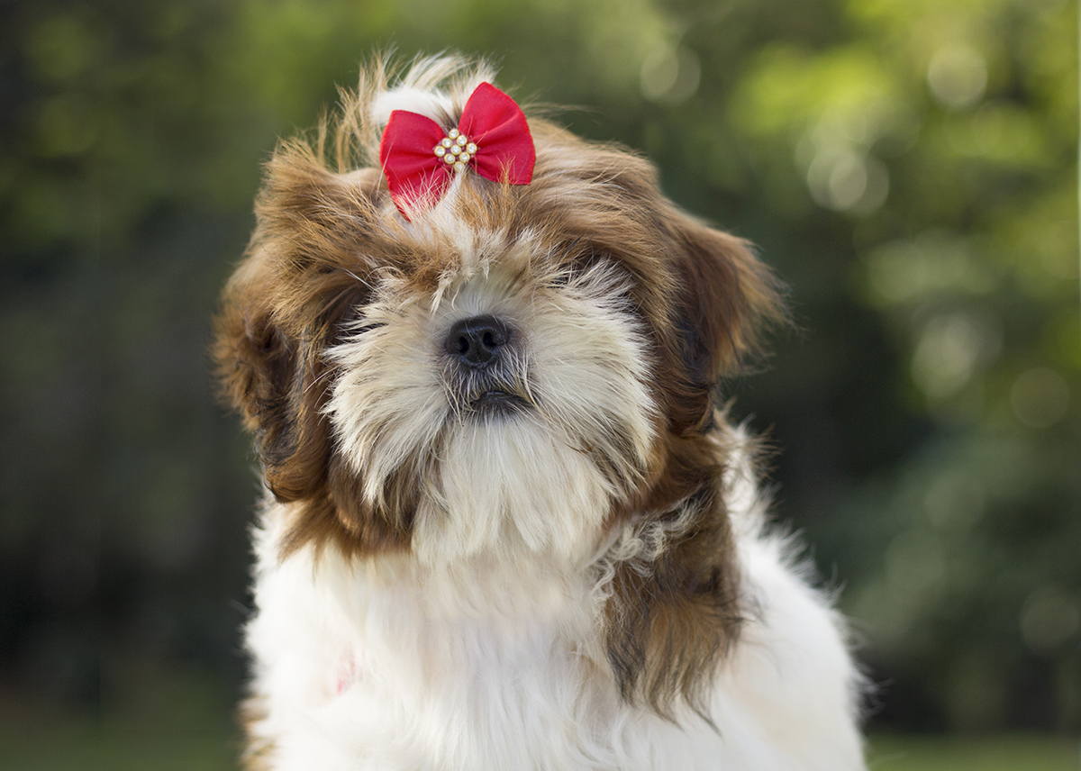 Close da Cléo posando para câmera