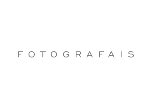 Logotipo de Henrique Lenz
