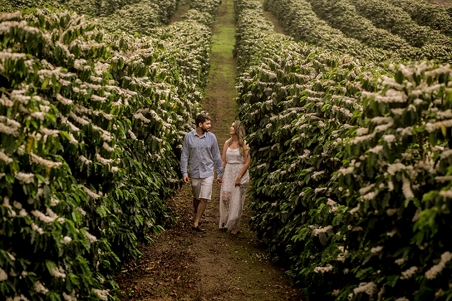 casal caminhando no cafezal