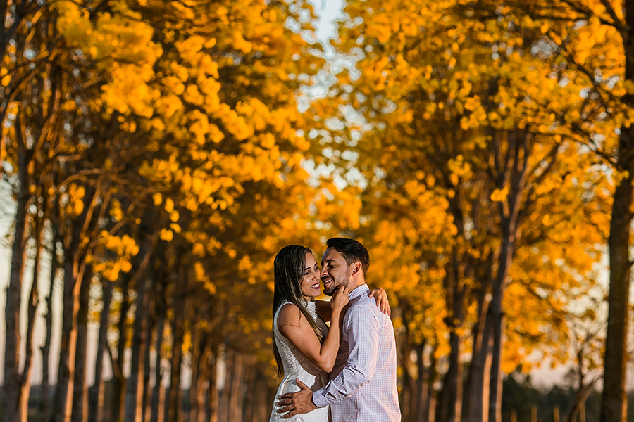 Casal sorrindo em meio a um árvore de folhas amarelas 