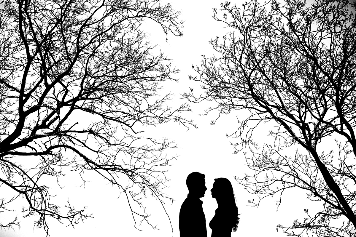 Silhueta com árvores