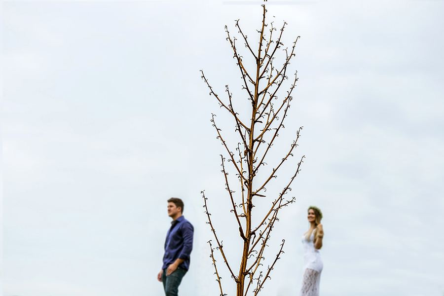 galho seco e o casal ao fundo