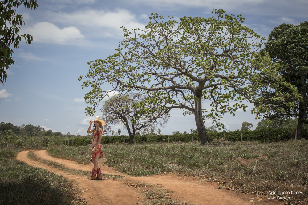 fotógrafo ensaio 15 anos country vestido bota chapéu fazenda de café presidente Olegário  