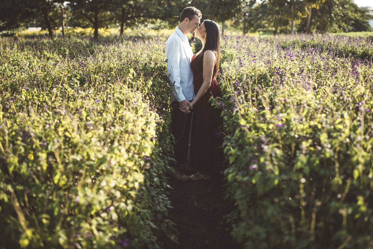 Ensaio em Araras-SP, casal apaixonado, Jonathan Januario, fotografo de Araras, fotografo em limeira, ensaio na montanha, foto na fazenda, aloha fotografias, fotografo em campinas, ensaio em campinas, ensaio em holambra, ensaio nas  flores, holambra-sp