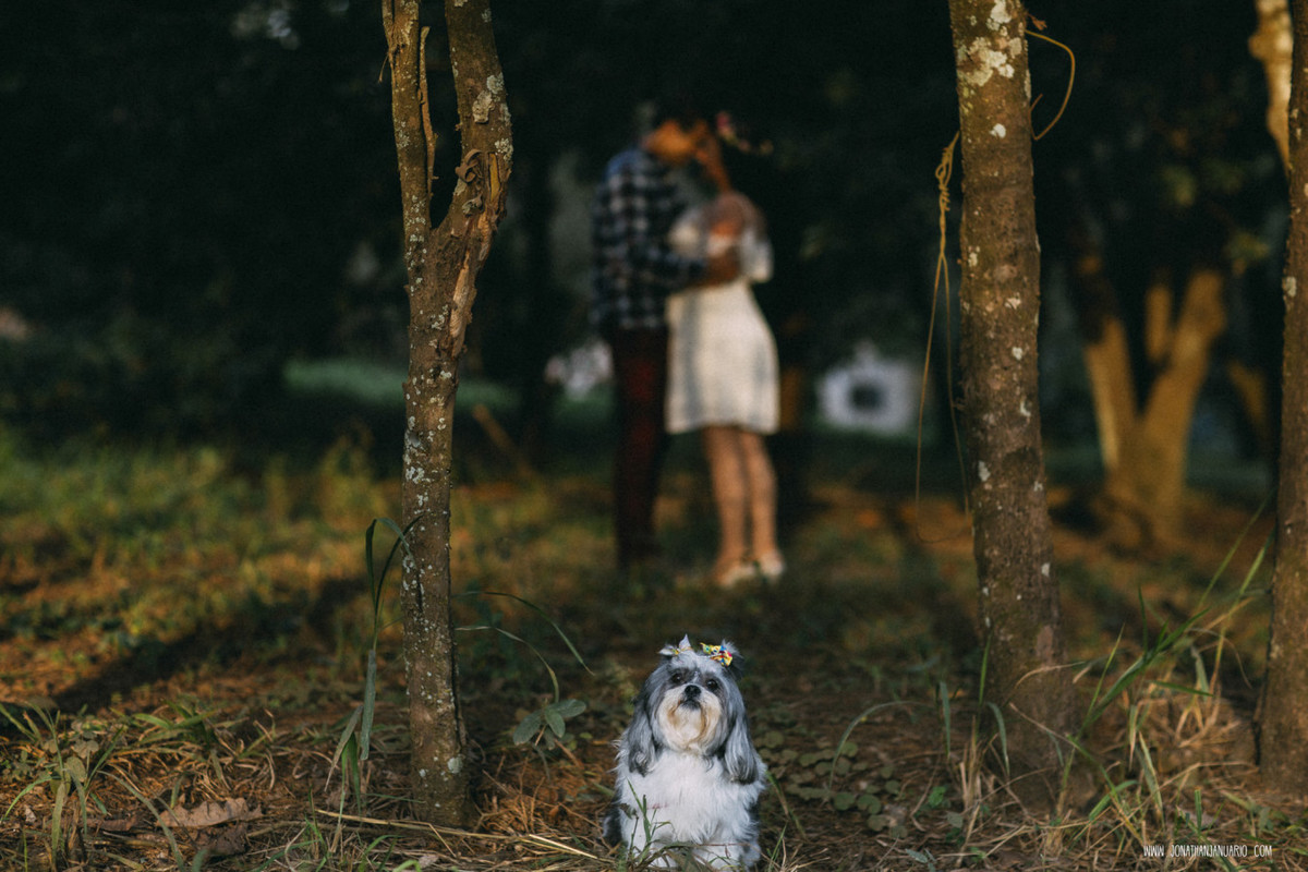Ensaio em Rio Claro-SP, casal apaixonado, natureza - love, amor, casal, Jonathan Januario, foto, fotografia, Araras, leme, limeira,campinas, São Paulo, folk, lifeStyle, Vsco, montanha, foto na fazenda, horto florestal
