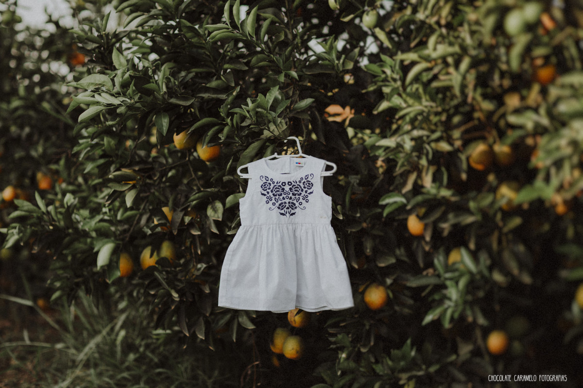 Ensaio em Rio Claro-SP, familia apaixonada, natureza - love, amor, casal, Jonathan Januario, foto, fotografia, Araras, leme, limeira,campinas, São Paulo, folk, lifeStyle, Vsco, montanha, foto na fazenda, familia,gestante,gestação,baby,bebê,gravida,conchal