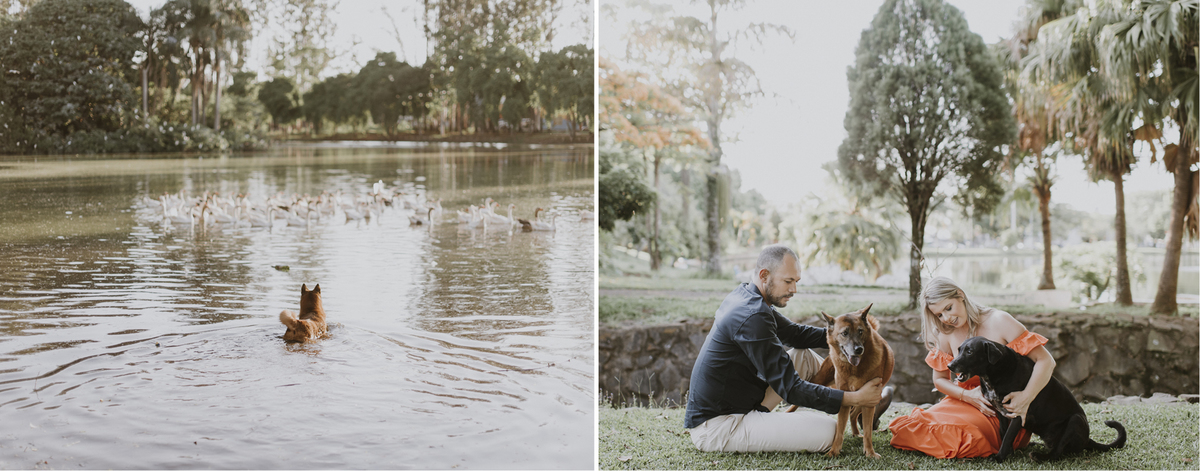 
Ensaio em Araras-SP,  Jonathan Januario FOTOGRAFIAS, fotografo de Araras, fotografo em limeira, ensaio no parque ecológico de Araras, foto na fazenda, aloha fotografias, fotografo em campinas, casamento em Araras, parque ecologico Araras, noiva de Arara
