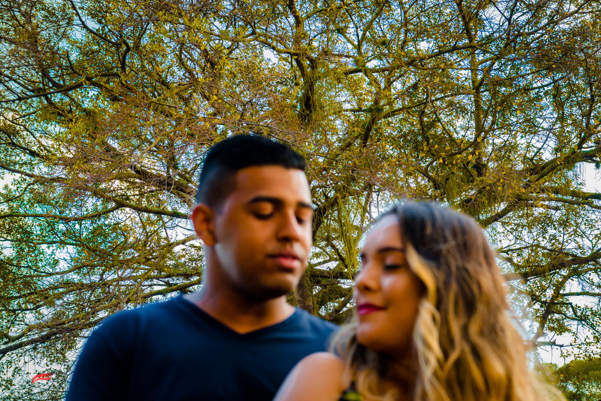 foto de casal com sua arvore genealogica