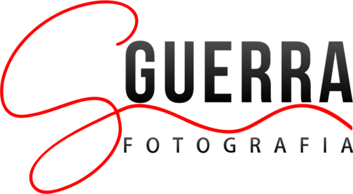 Logotipo de ALFREDO ALEXANDER GUERRA