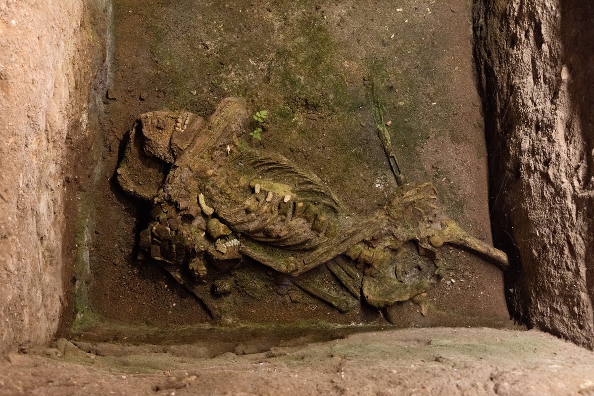 Esqueleto humano encontrado no Instituto Pretos Novos durantes escavações.