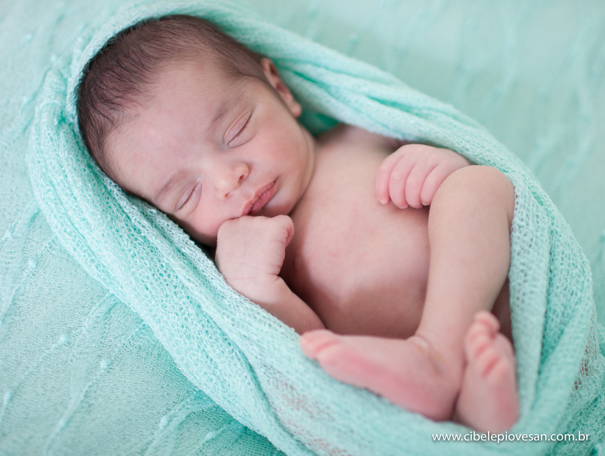 Book Cibele Piovesan