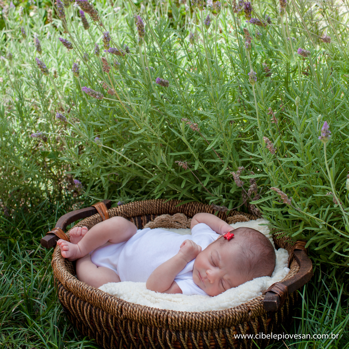 Ensaio Newborn Rafaela