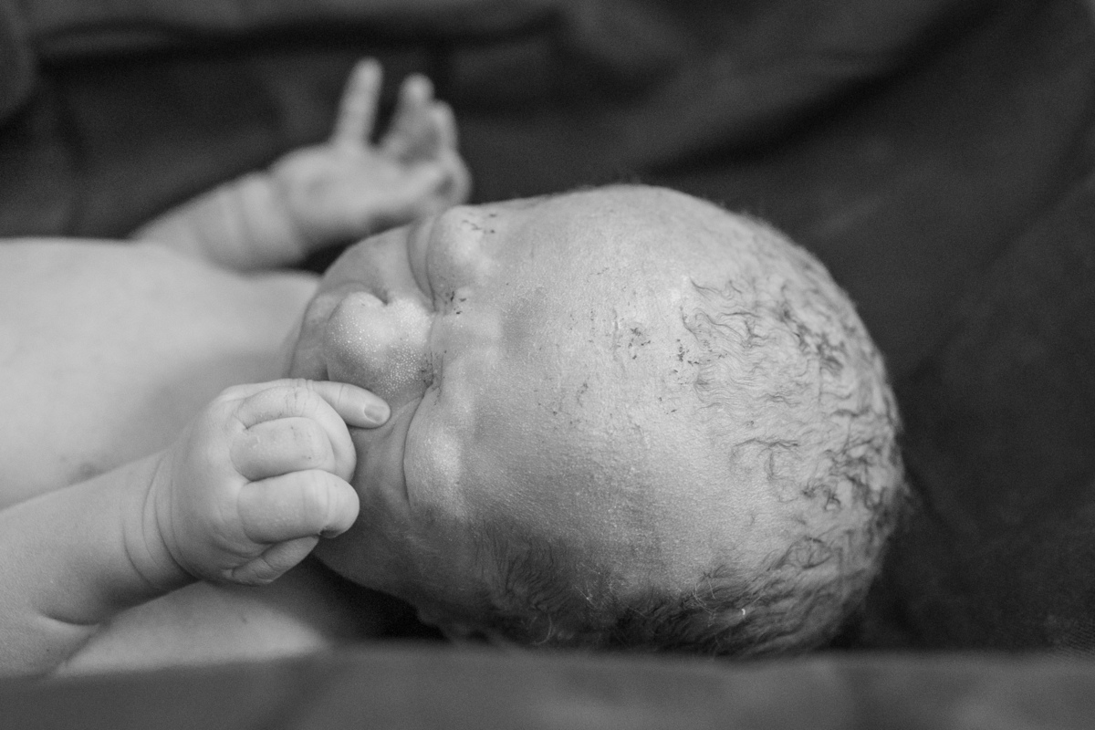 Fotografia de Parto Parto Maternidade São Luiz