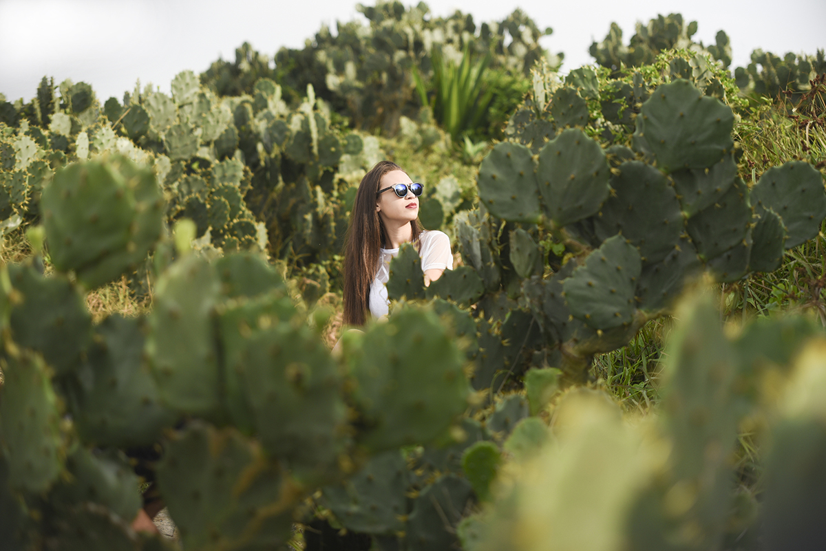 Book de 15 anos, Ingrid cristina Rio de Janeiro