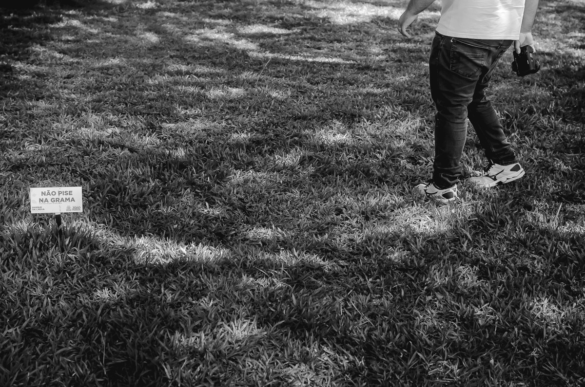 WORKSHOP DE FOTOGRAFIA EM JOAO PESSOA UPGRADE WORKSHOPS REALIZADO NO PARQUE SOLON DE LUCENA EM JP PB POR JOCIELDES ALVES E MUCIO ALBUQUERQUE