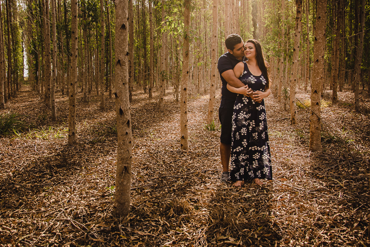 ensaio fotografico com abraços, amor e carinho nos eucaliptos em lucena fografado pelo fotografo pb jocieldes alves que é fotografo de casamentos na paraíba
