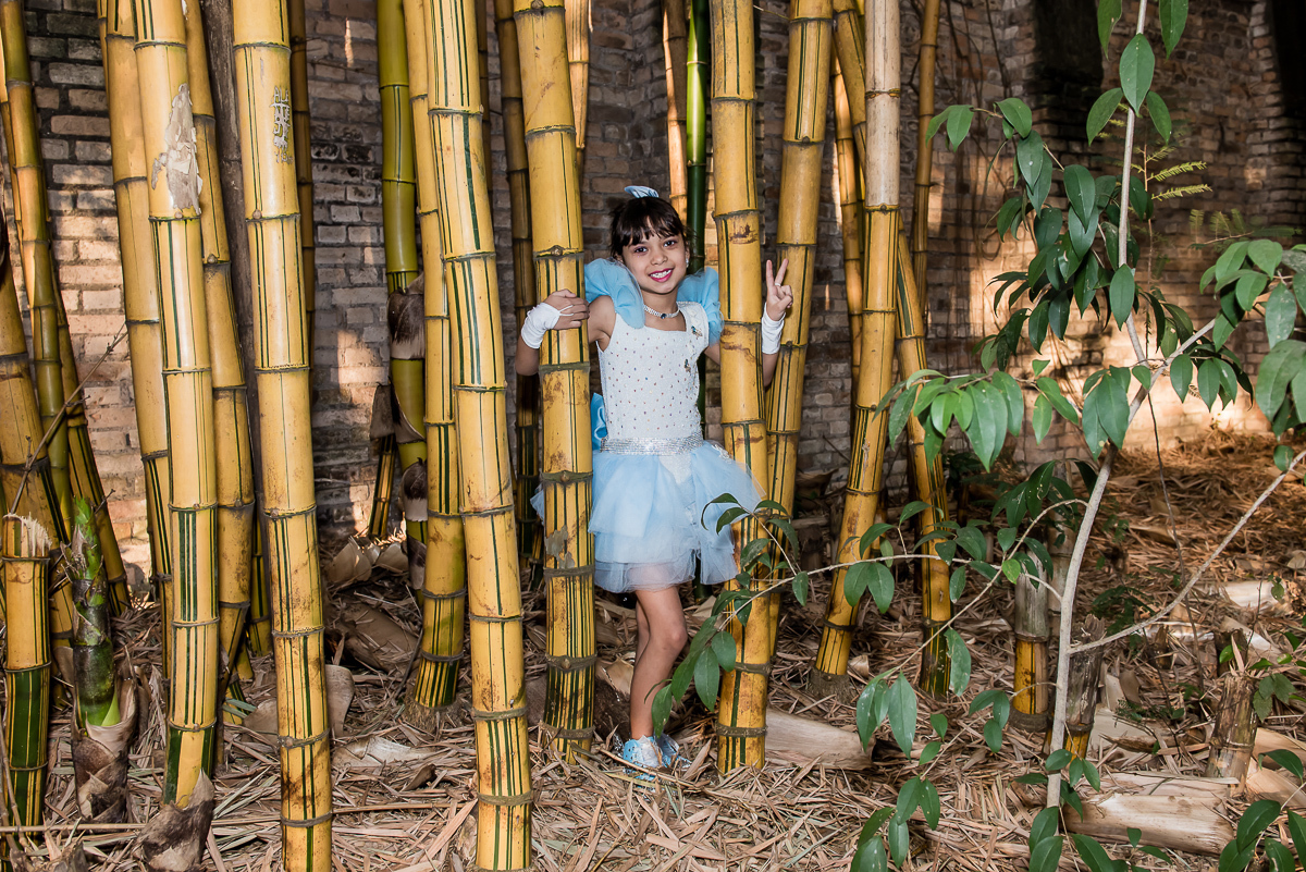 fotografia no bambuzal