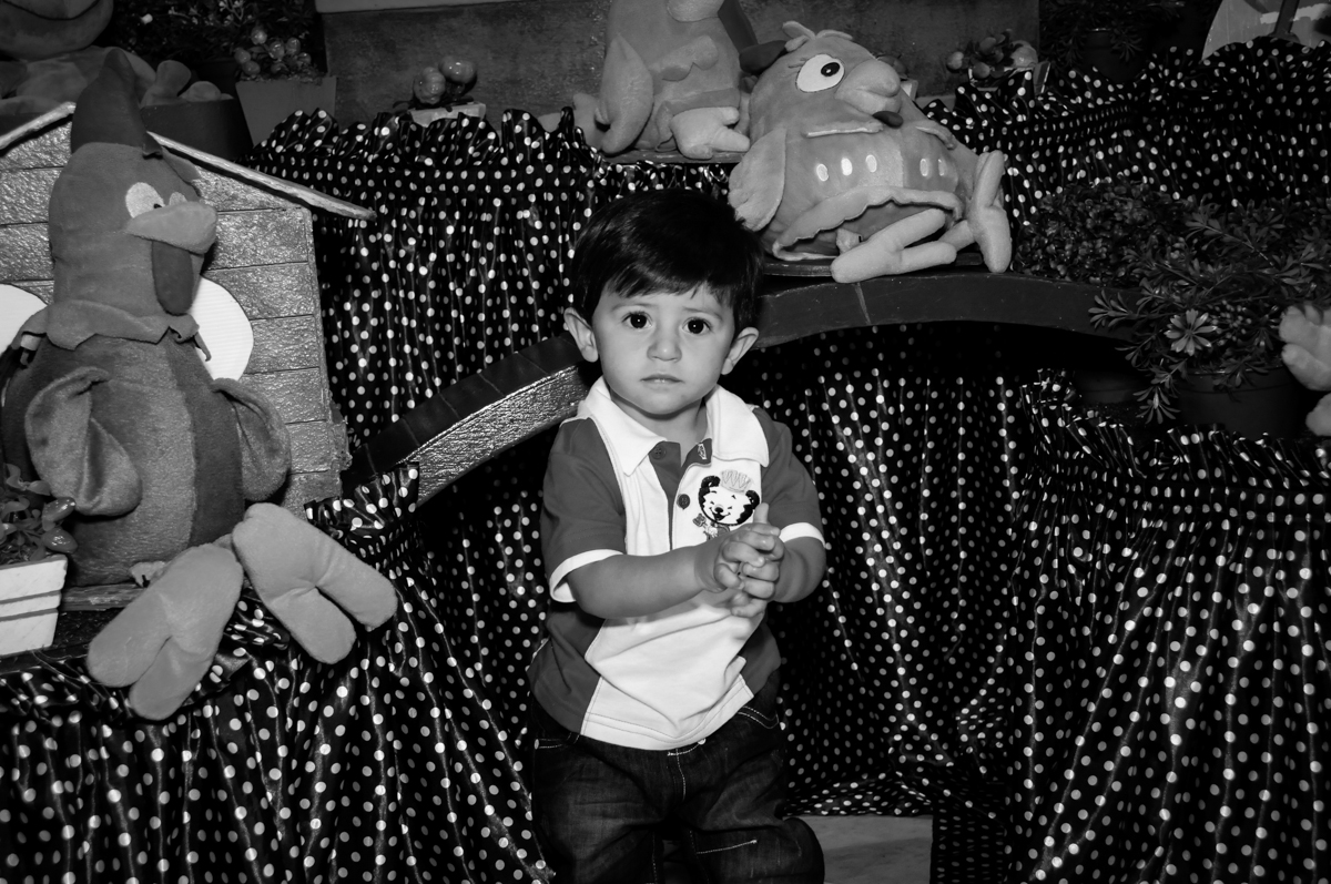 O aniversariante está feliz com sua festa de aniversário no Buffet Fábrica da Alegria, Osasco, São Paulo festa infantil, tema da festa galina pintadinha Victor 1 aninho