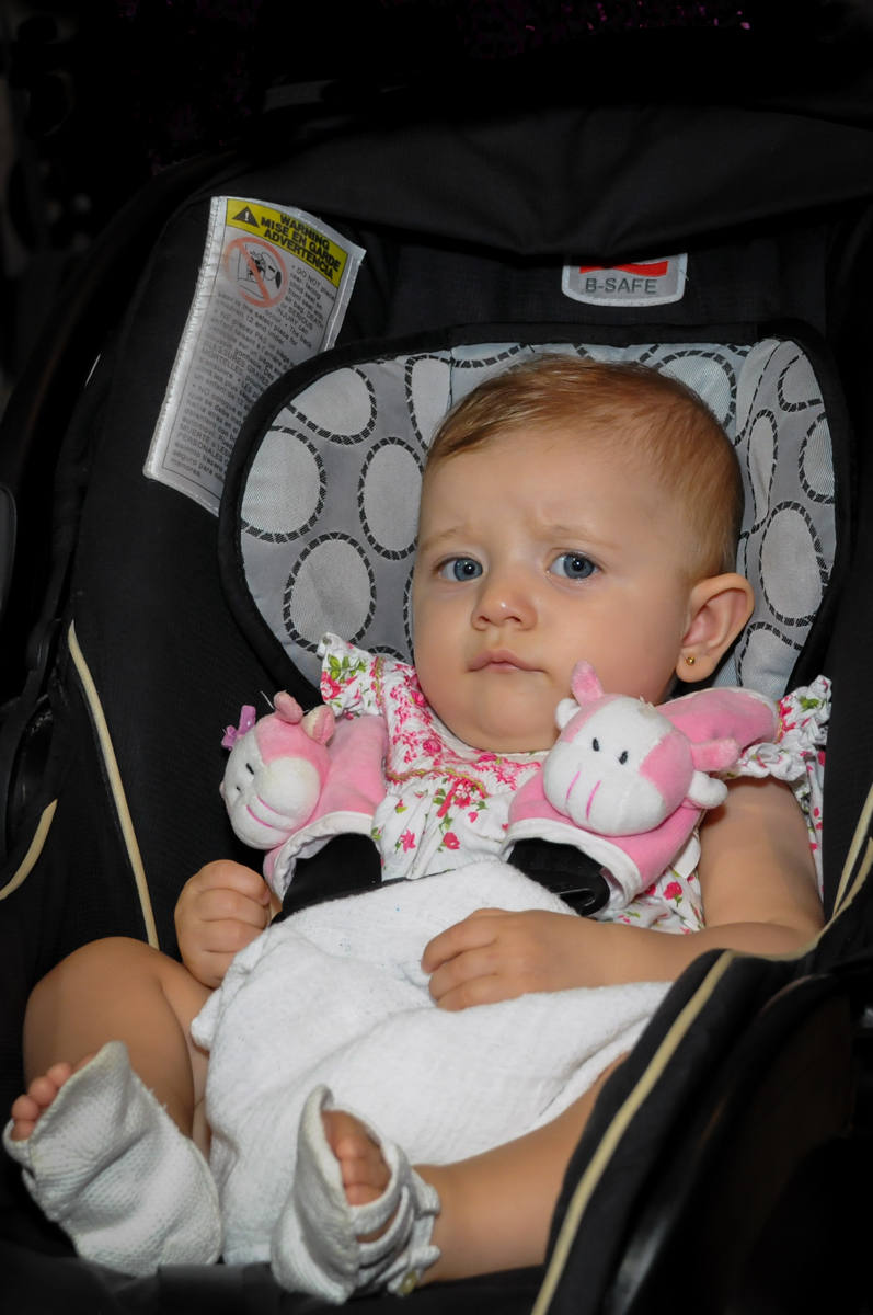 O bebê também se diverte na festa no Buffet Fábrica da Alegria, Osasco, São Paulo festa infantil, tema da festa galina pintadinha Victor 1 aninho